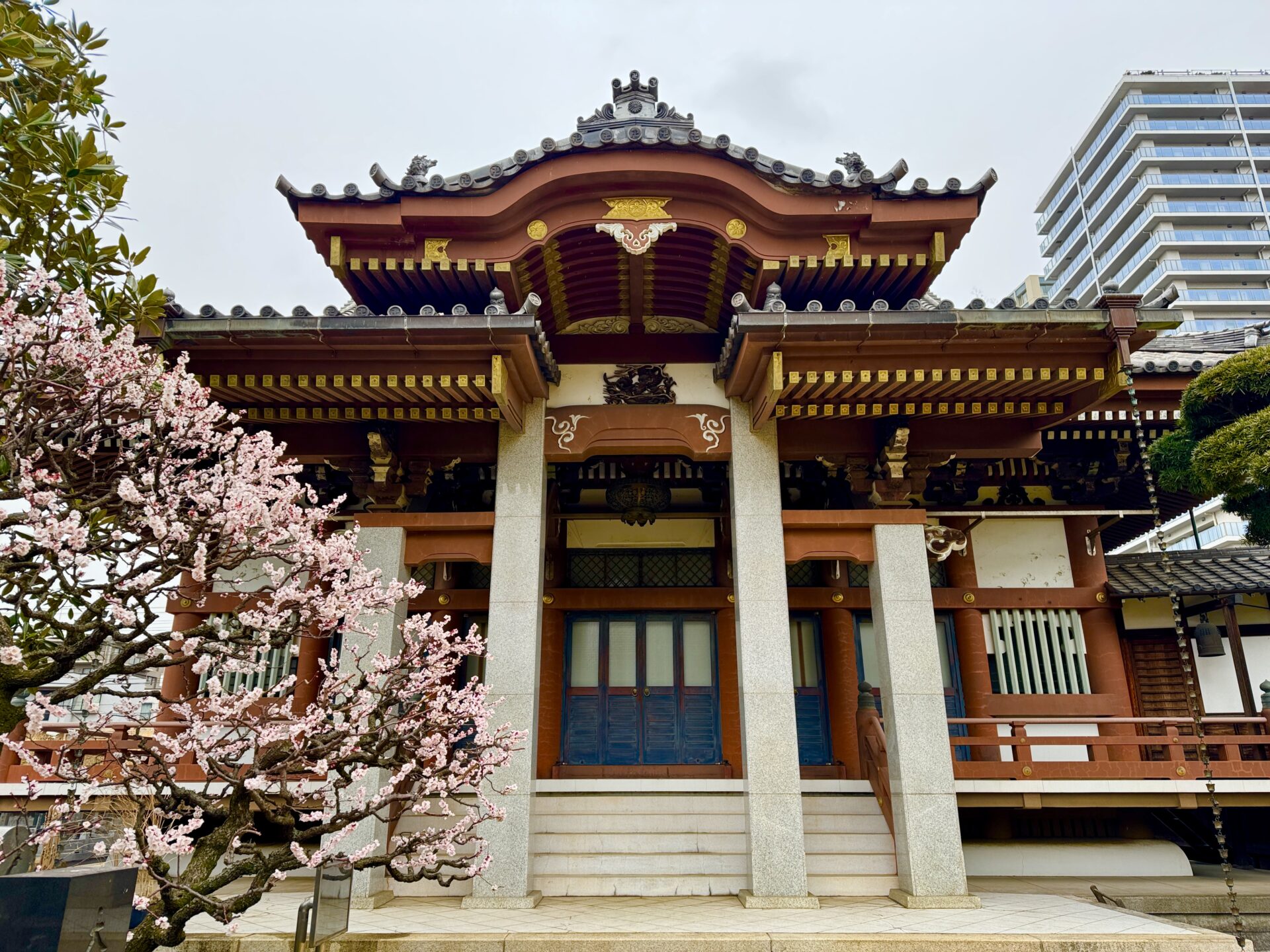金藏院　本堂正面　メインビジュアル